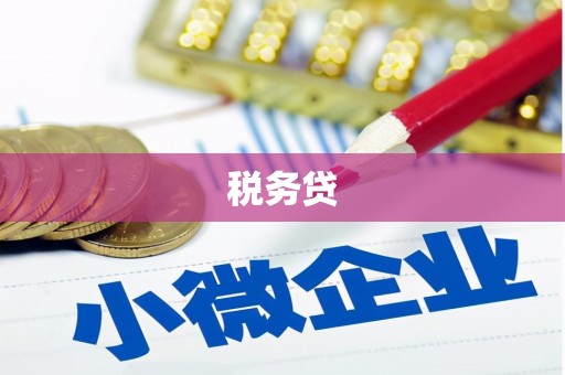 任丘税务贷