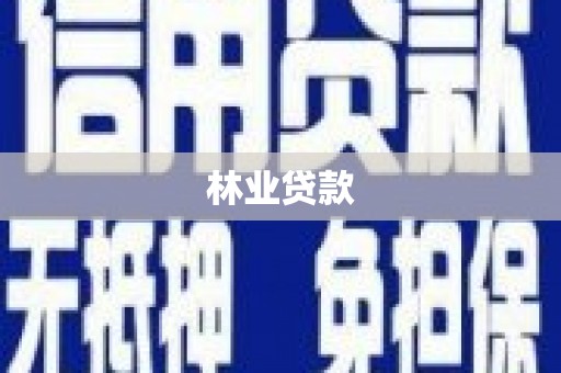 师宗林业贷款