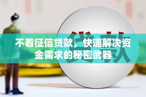 勐腊不看征信贷款，快速解决资金需求的秘密武器